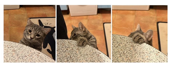 Триптих. Колбасковое...