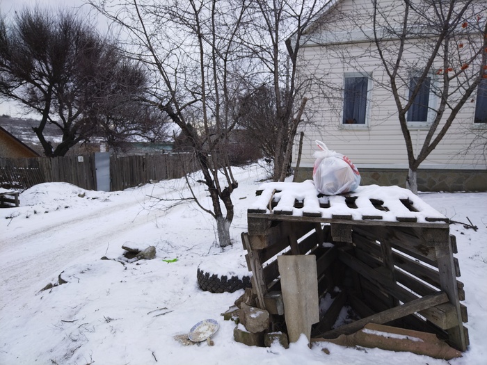 ��� ����� ��� ����������