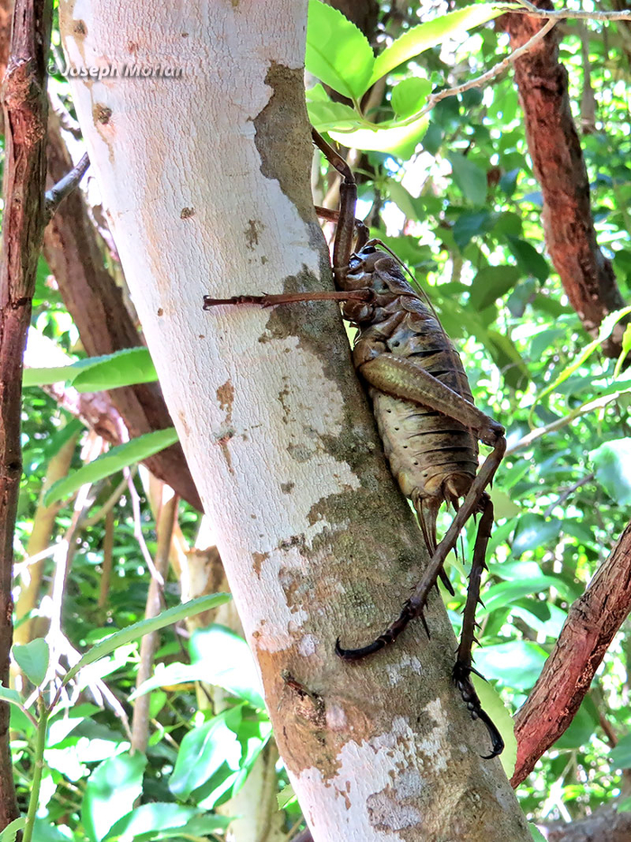 �����������, ��� ������� �������.