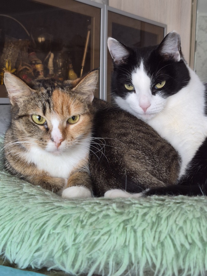 Шурочка и Ляля