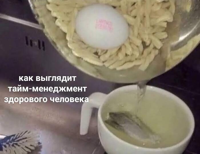 ����-������� vs ����-�������: ��� ������ ������� ��� ���� � ������ ��� ����