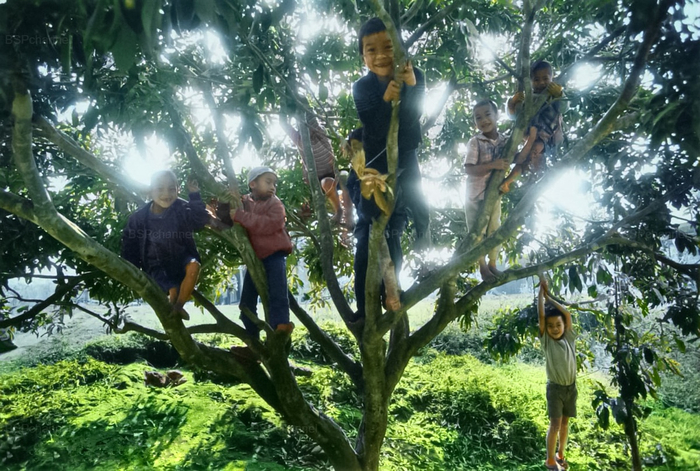 ��������: ��������� ��������