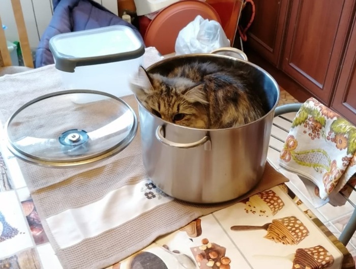 Суп в засаде