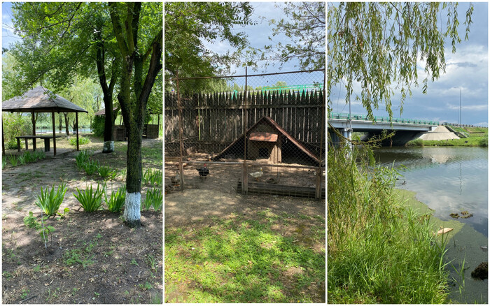 ���������� � ���������