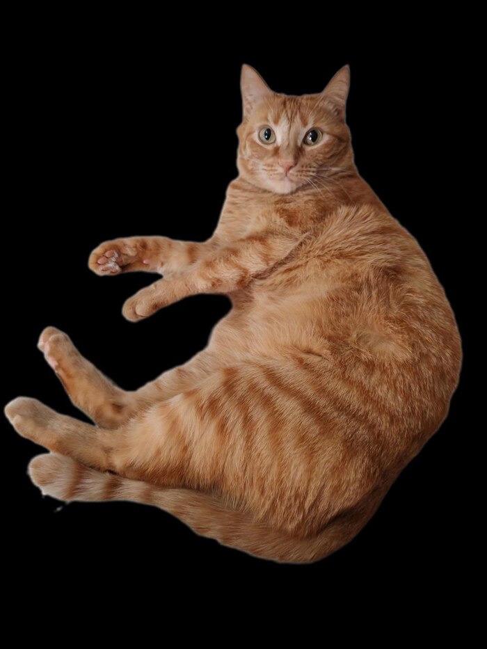 ��� ��������� � ������