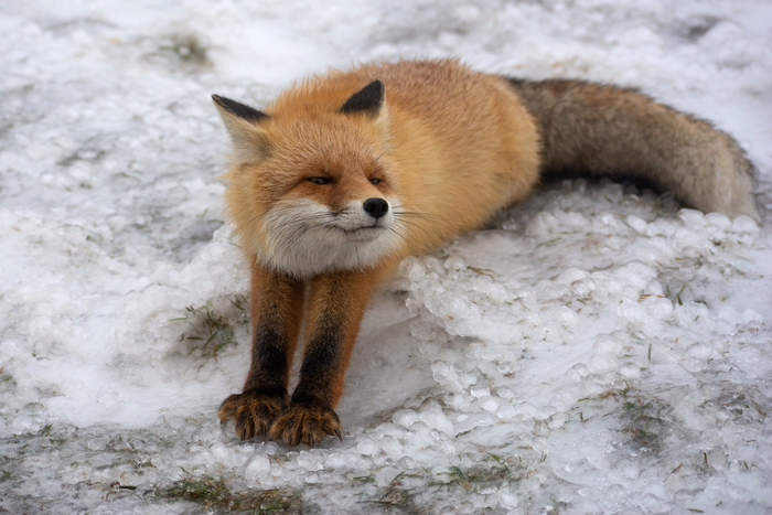 ����: ������� �������� <a href="https://pikabu.ru/story/potyagushki_13753048?u=https%3A%2F%2Frtraveler.ru%2Fphoto%2F1481776%2F%3Feditorial_photos%3D1&t=%D0%BE%D1%82%D1%81%D1%8E%D0%B4%D0%B0&h=f299ef9d375a25e33e98e73597469794f2de8dc9" title="https://rtraveler.ru/photo/1481776/?editorial_photos=1" target="_blank" rel="nofollow noopener">������</a>