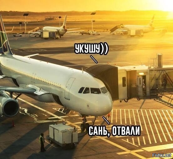 Самолетик в аэропорту Домодедово делает кусь