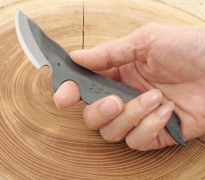 ����� ��������� (�)