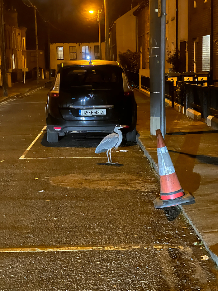 ���������� ����� ����� ����������� ��� � ����� ������.