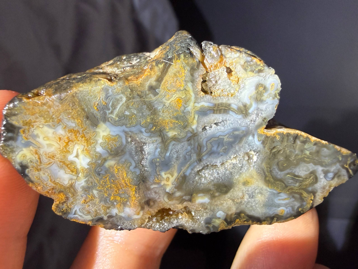 ���� �����