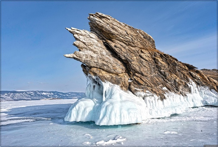 ������ ����. ����: ������� ��������