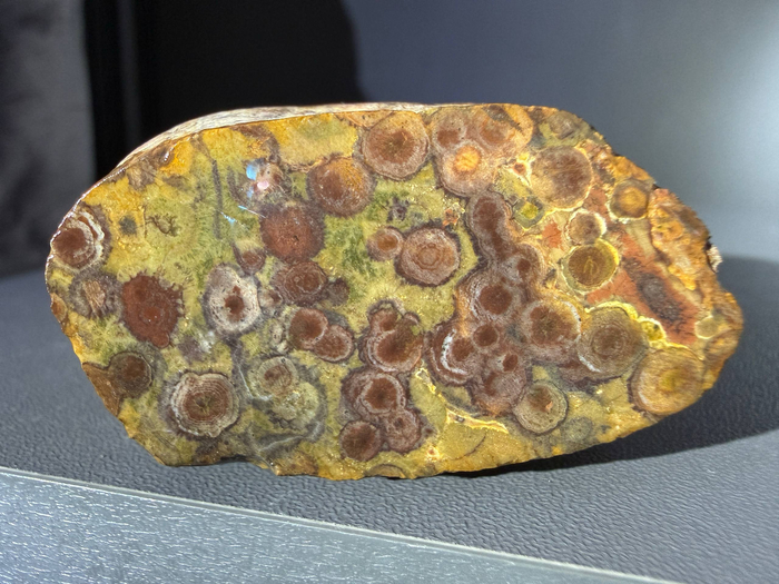 ����������� ����