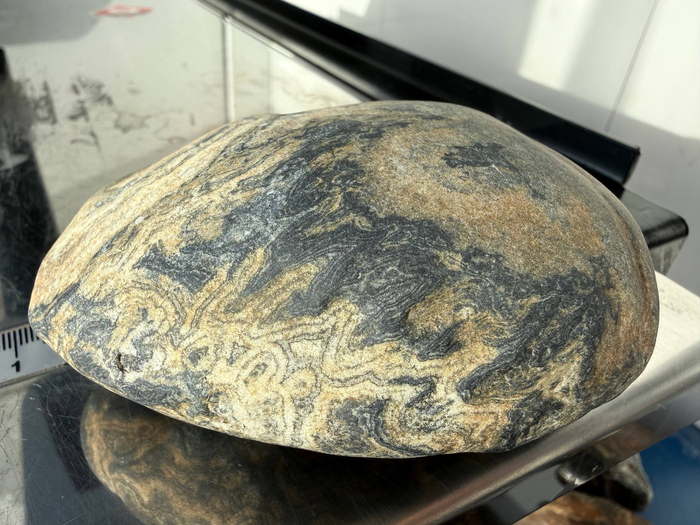 ����������� ����