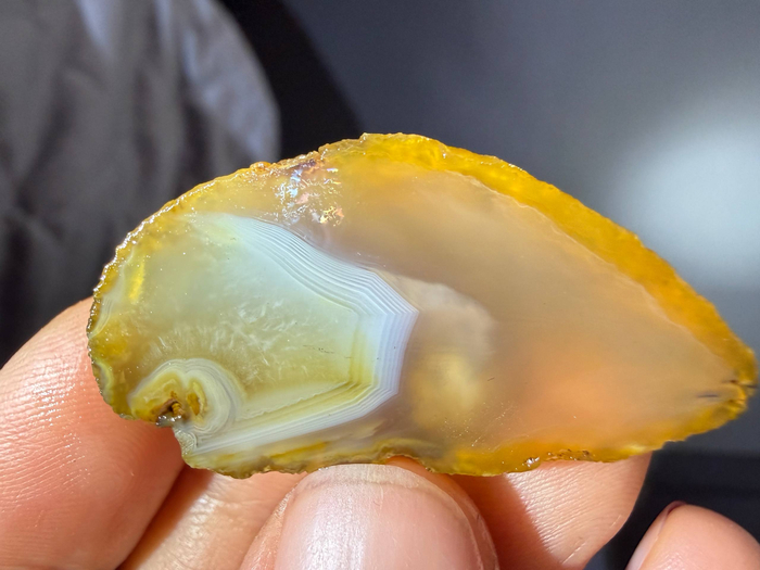 �������� � ��������� ���������