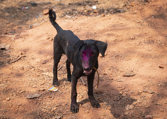 ϸ����, ���������� ����.