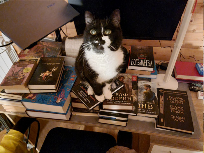 ������� ������ �������