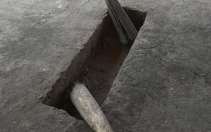 ������ ����������� ������. ����� ������� ������ �� ��������.