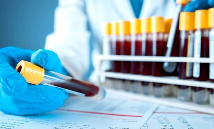 ������ ����� � ����� ������������ 37 ������ ����������� ��������