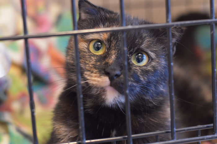 во время карантина после улицы