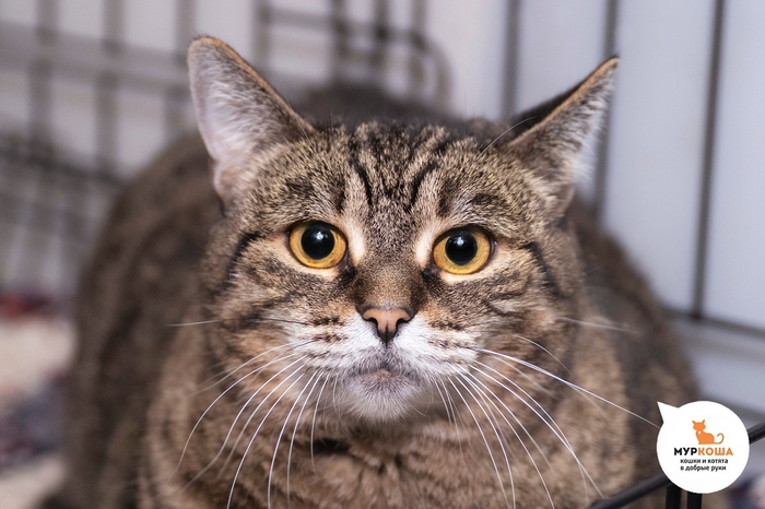 ����� ������, 5 ���, ������� � ��������.