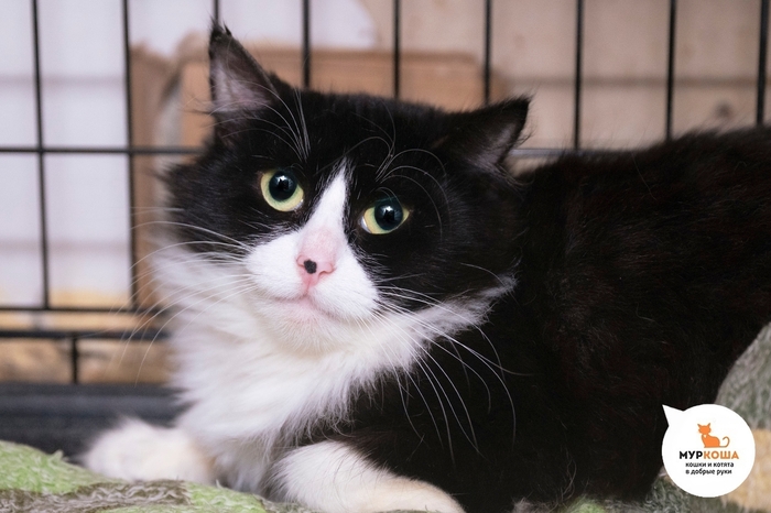 ����� ��������, 2 ����, �������� � ����������.