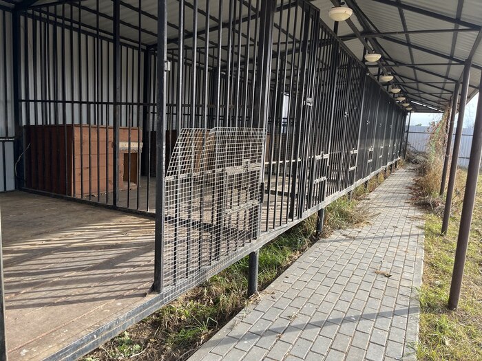 ����� �� ���� ������� �� �� ������ � �������?�