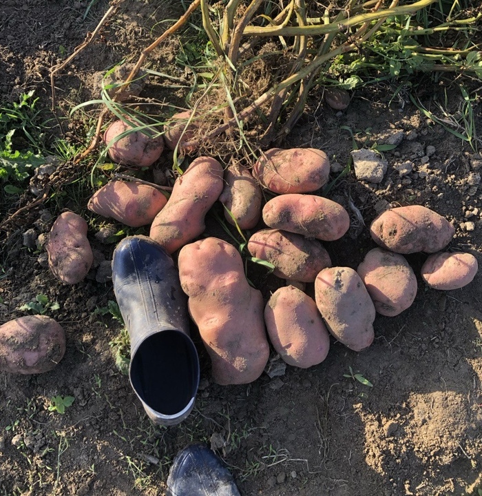 ��������� ������� ��������� ������