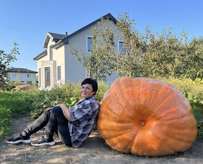 ������ �������� � � ��������