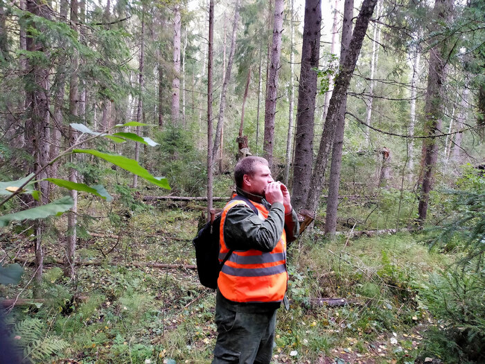 ������ �� ������