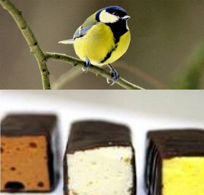 ������, � �������� "������" �������� �����.