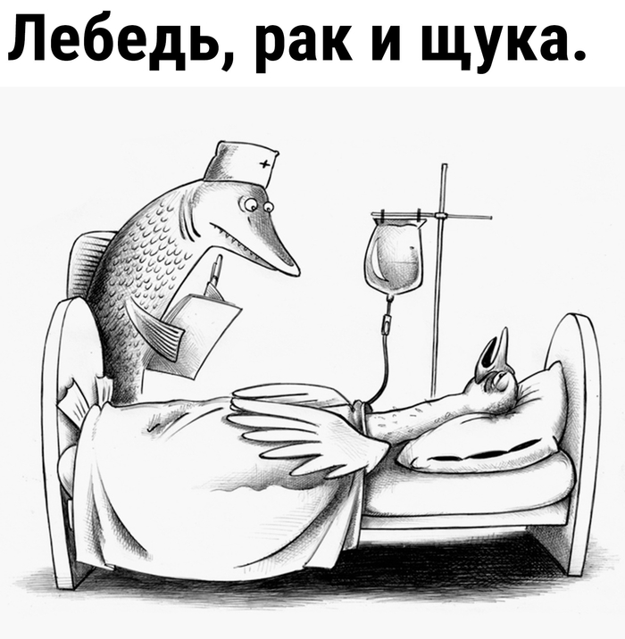 ������ ����� �� ����� ���