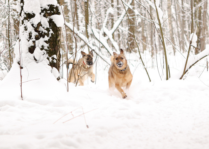 �� ���� ������ �� ����� ����� �� ������������. � ���� ������ �� ������ ���.