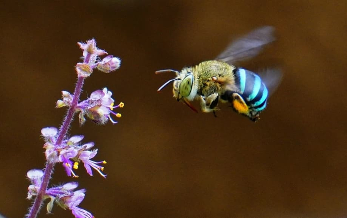 � �������� ������������ ����� ����� ������� ����������� ��������.