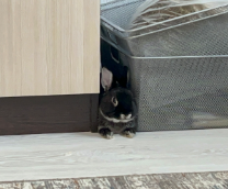 ������ ����