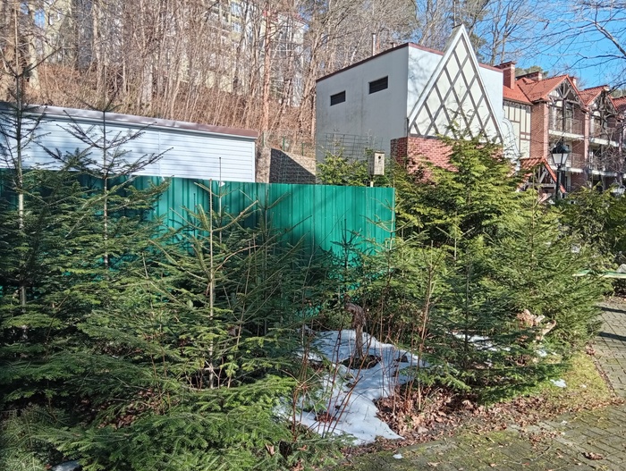 ��� ���� � ���� � ������� 8 ��� �����. ������ ������� ��� ��������� �����. ��� ������� �� ������ � ������� ����� ��� �������. ���� ��� ������� ��������, �� �� � ��� ��� � �� �����.((