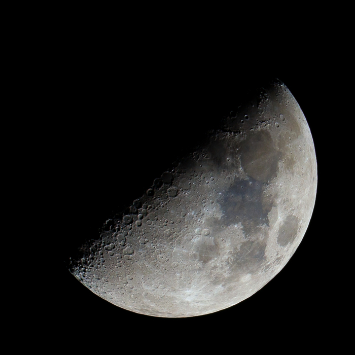 ��������� ����