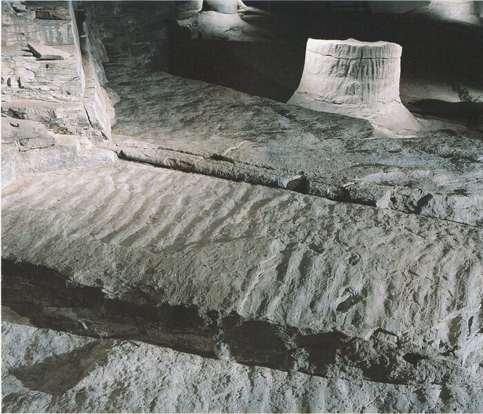 ���������� ��� � ����� ����. ���� � �����&nbsp; <!--noindex--><a href="https://pikabu.ru/story/muzey_pney_lepidodendronov_13758746?u=http%3A%2F%2Fscottishgeologytrust.org&t=scottishgeologytrust.org&h=437188c9f781df94b89621432c4a25c83a5fbf0b" title="http://scottishgeologytrust.org" target="_blank" rel="nofollow noopener">scottishgeologytrust.org</a><!--/noindex-->.