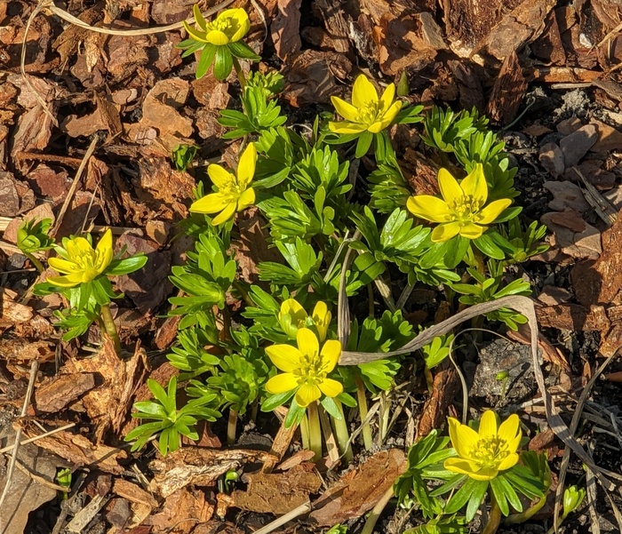 ��������� ������ �� �������� � ����� �������������� ���������. ���� �. ���������.