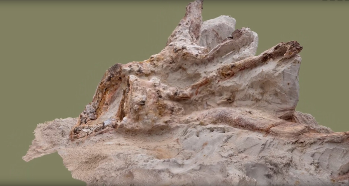 �������������� ���������� ���. �������� ����� �� ������ � �� ������������������� ����� ����ӻ, <!--noindex--><a href="https://pikabu.ru/story/devonskiy_protopen_v_lenoblasti_13767410?u=https%3A%2F%2Fvk.com%2Fnhm_spbu&t=https%3A%2F%2Fvk.com%2Fnhm_spbu&h=cdb4bf0a880ef8a2f4e8e3f280686568a96d5142" title="https://vk.com/nhm_spbu" target="_blank" rel="nofollow noopener">https://vk.com/nhm_spbu</a><!--/noindex--> 9.