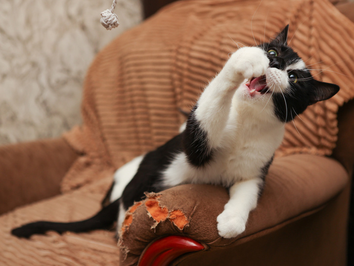 ������ ���������� ��� �������� ������ ����