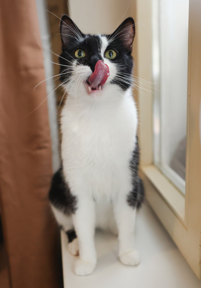 �����, ������ ��� � �������?