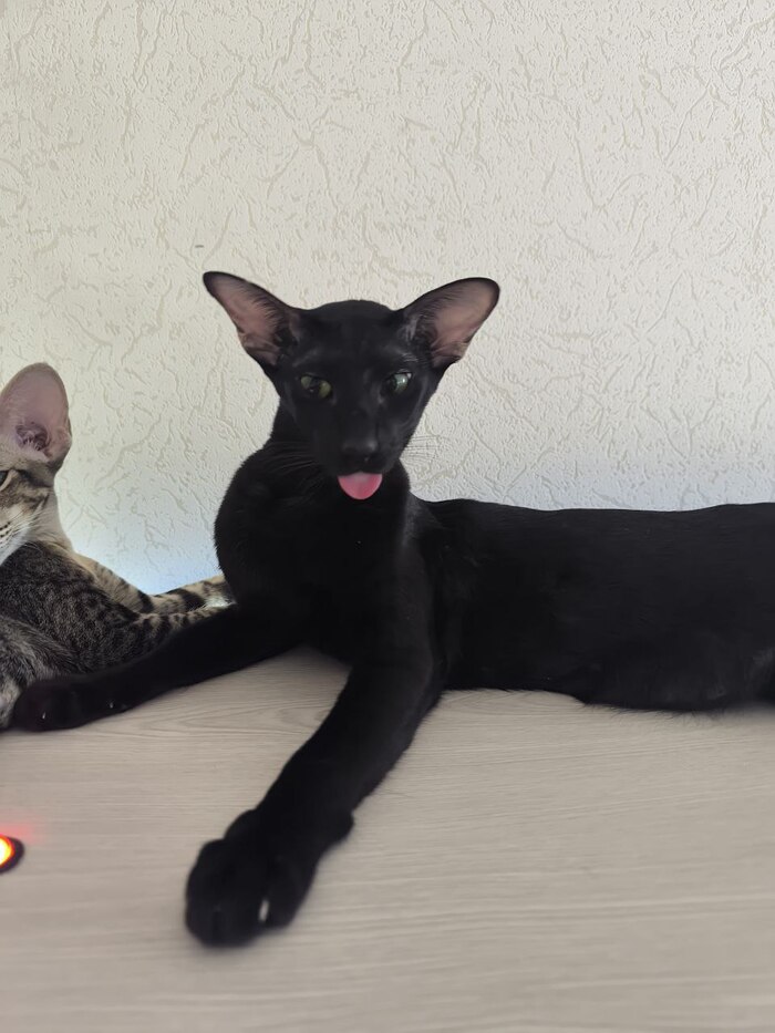 ���� � ��������!