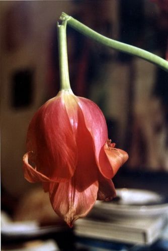 ���������� 8 �����: �� ����� � ��� �� ����!