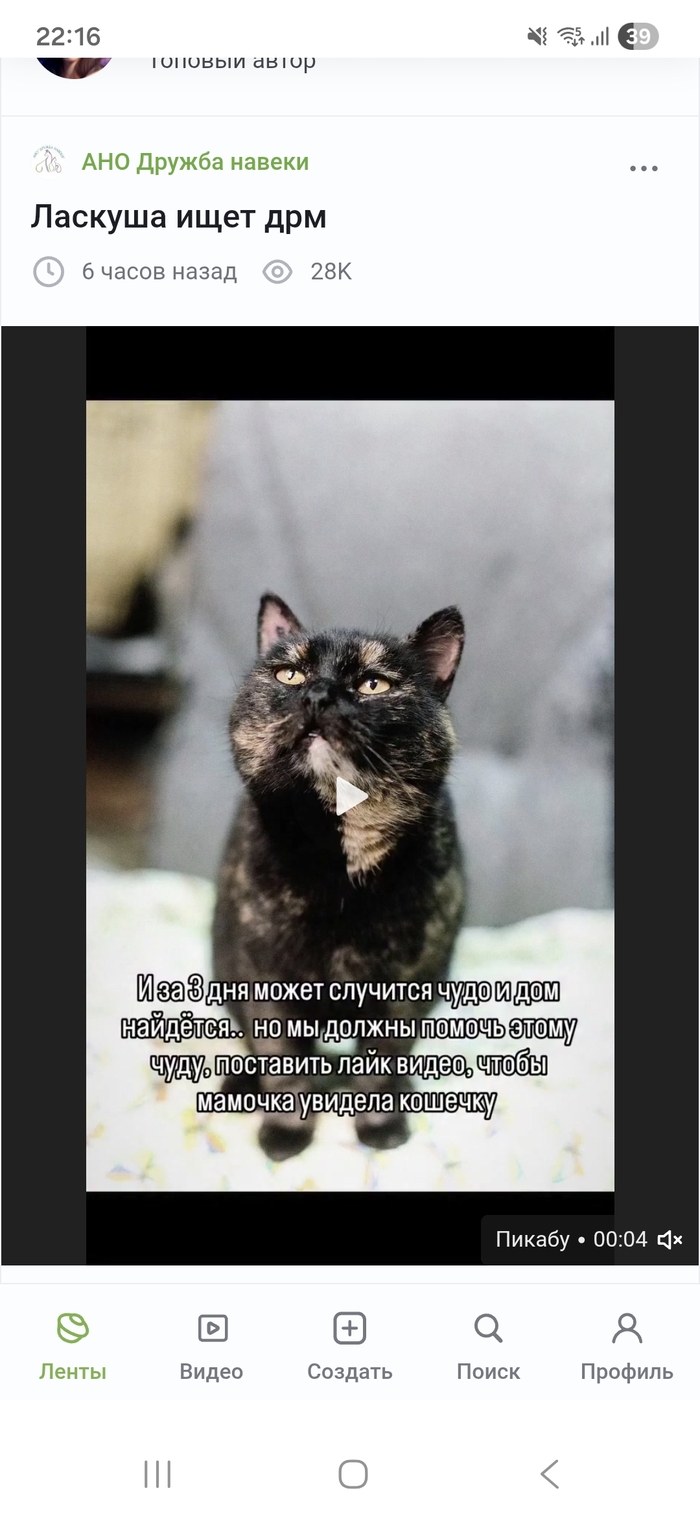 ��� ��� �������� ���������������� ���������� ������ ������ � ���� �� ������� �55