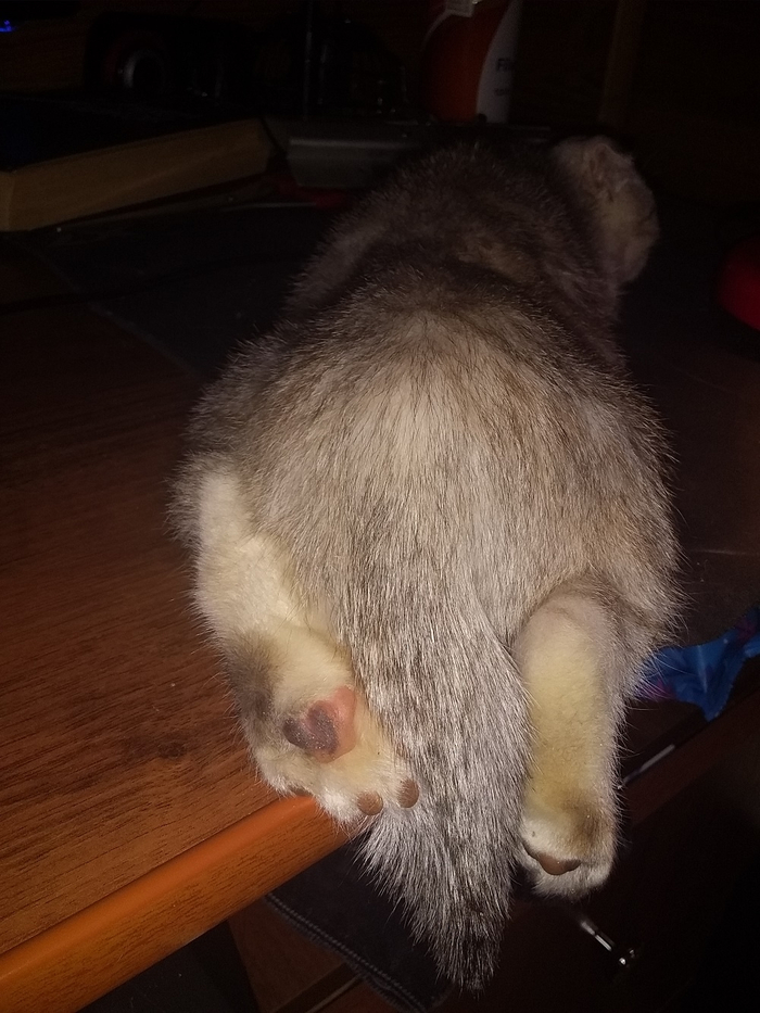 ������� ������ �������. ������ ������� ��������� ������