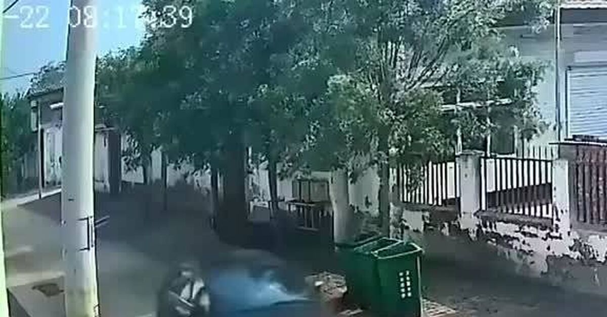 You couldn't make this up - Vertical video, Humor, Video VK, Video