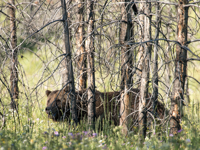 ������� ���� ����� �������� �������� ������ �� ������� � ������ �� ������. ������ � ���������� ����� ���������������� � ���������� �����������. �� ���������� ������ �������� �����.