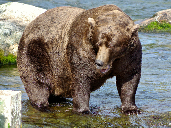 ���������� ��� �������� ����� ������ ����������� ����� � ���� �� ����������. ��� � ������� � �������� ��� ������� ����� ������� ������ � ������� ������. �� ���������� ������� ������� ������ �� ������������� ����� ������.