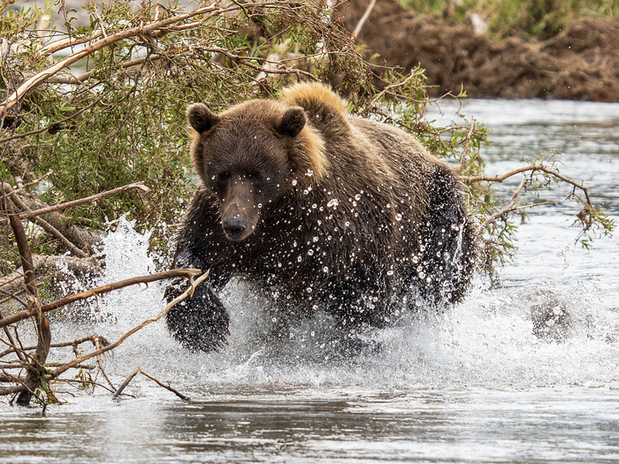 � ����������� ������� �� 3000 ��������� �� 1 ��². ������ ������ ����� ���������� �����. ���� ����� ������ ����� ������� � �������� ����, �������� ���� ��� ��������� ����.