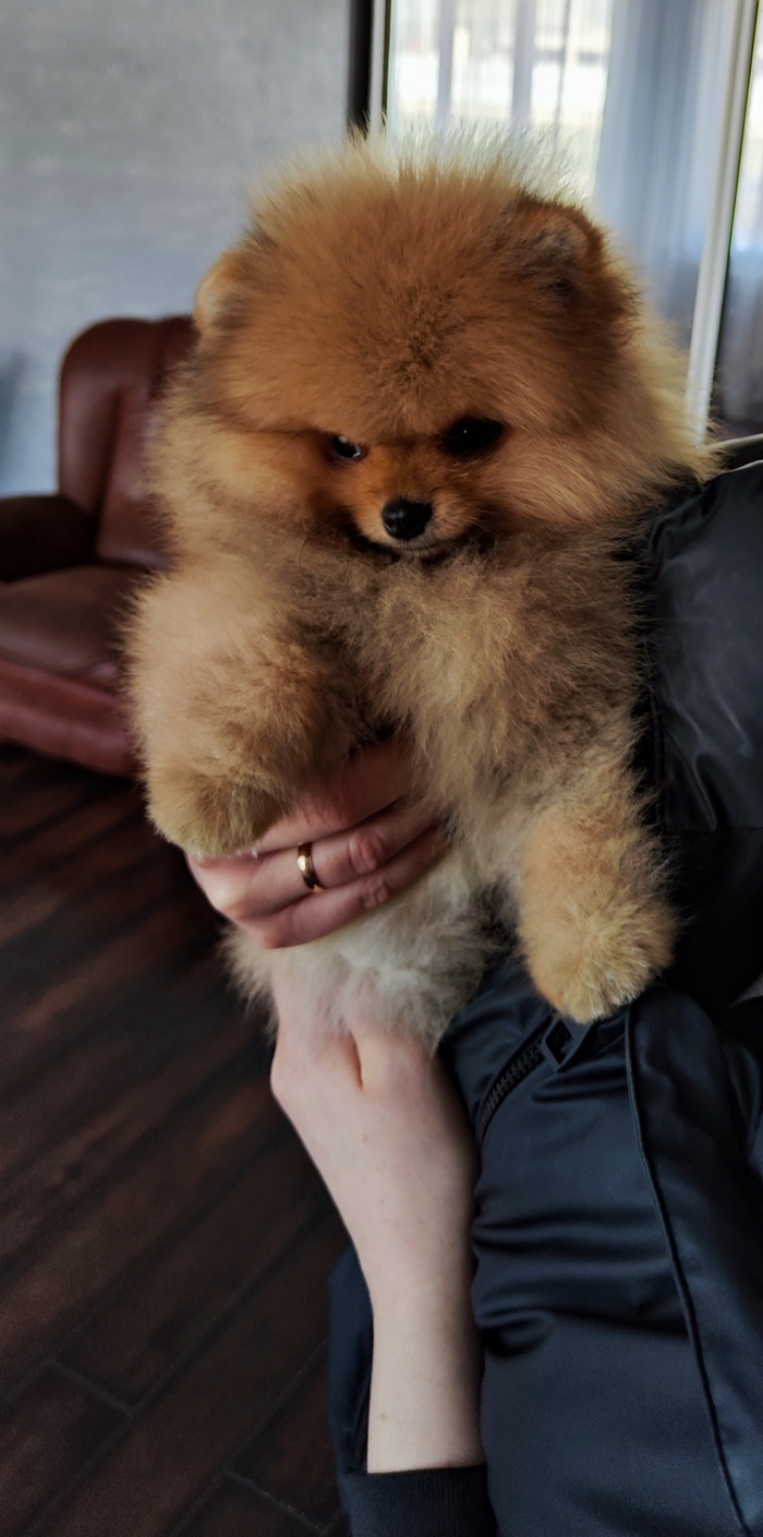 �������� ������� ��� ��� ����� �����